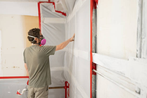 Best Comprehensive Air Testing for Mold Contaminants  in Land O Lakes, FL