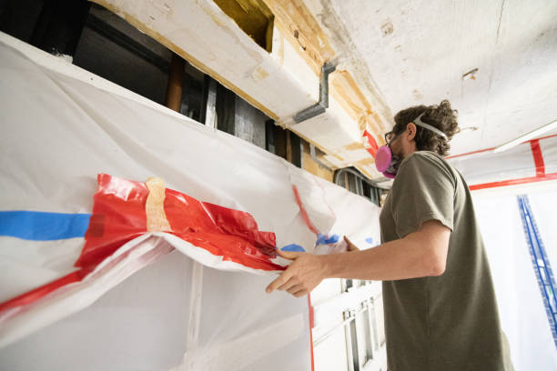 Trusted Land O Lakes, FL Mold Removal Experts